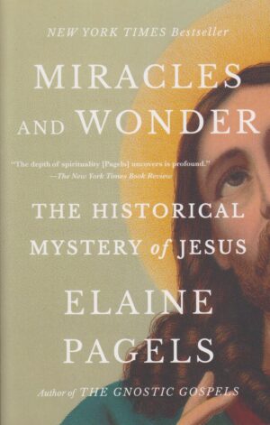 Miracles and Wonder: The Historical Mystery of Jesus